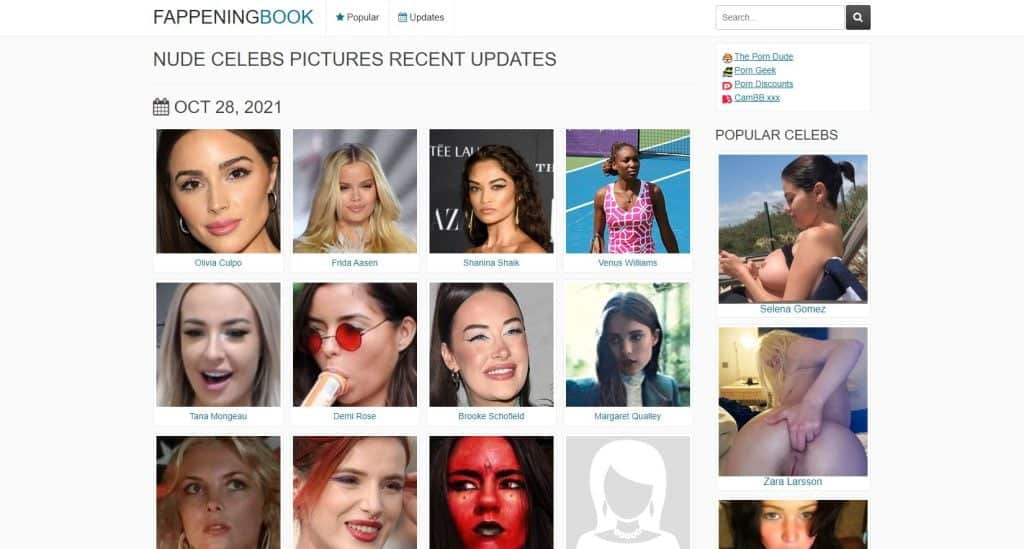 FappeningBook 2026最新评测